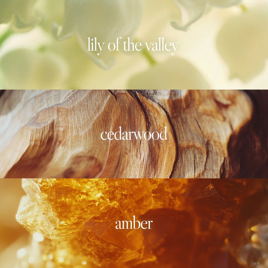 n551 Amber Sunset notes of lily of the valley, cedarwood, and amber